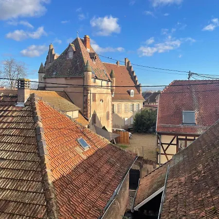 3 Pieces Centre Ville Ville Pittoresques Parking Gratuit A 5 Minutes A Pied Obernai Exterior foto