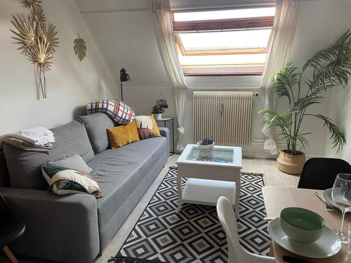 Apartment 3 Pieces Centre Pittoresques Parking Gratuit A 5 Minutes A Pied Obernai