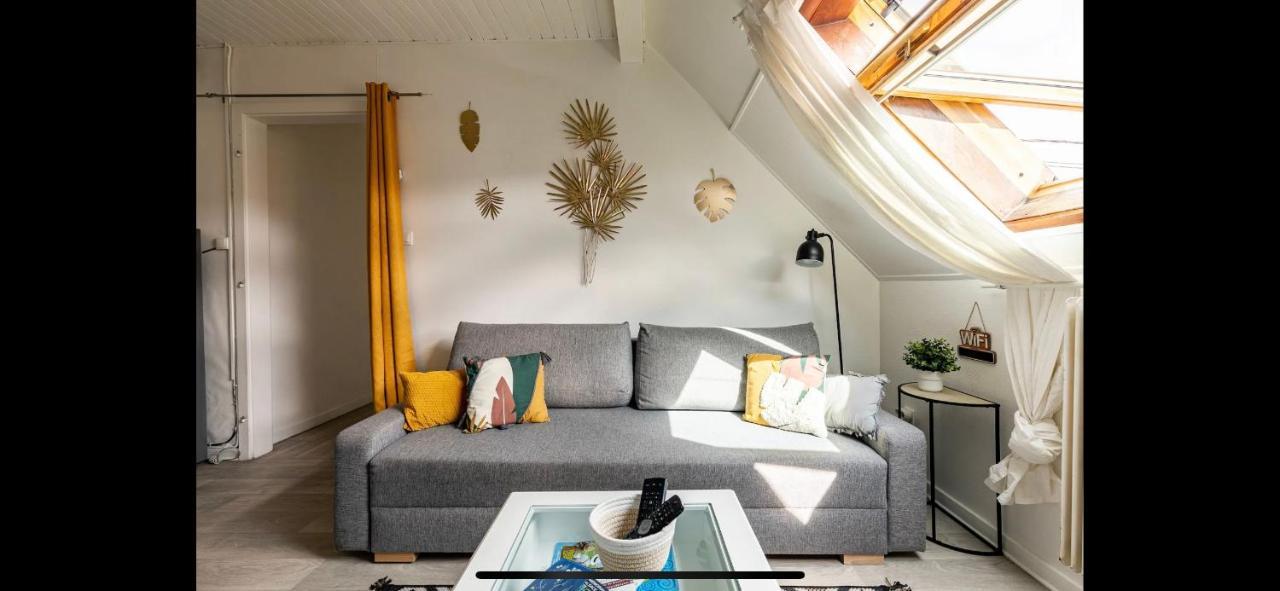 Apartment 3 Pieces Centre Pittoresques Parking Gratuit A 5 Minutes A Pied Obernai